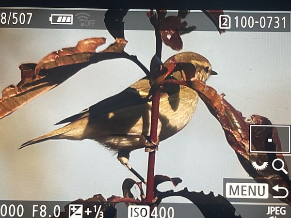 Luì di Hume  - Helmut Frind