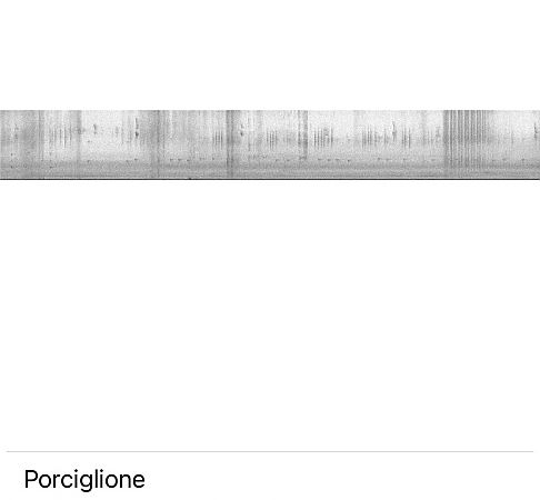 Porciglione  - Maria Rita Gelso