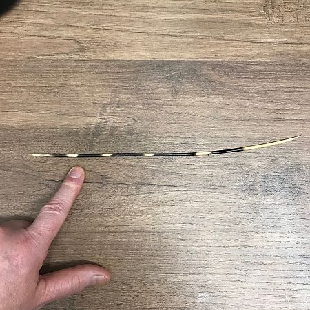 Istrice  - Séverine Haberer