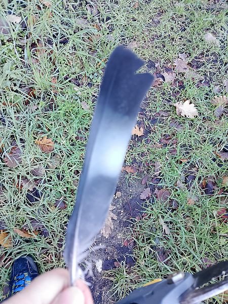 Colombaccio  - Maria Giovanna Casanova