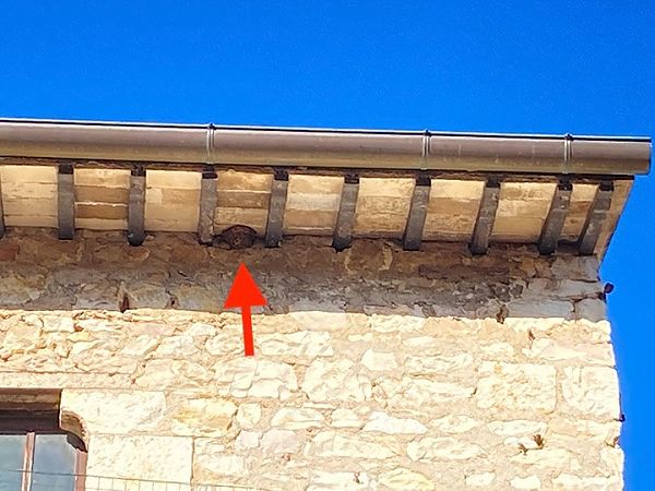 Balestruccio  - Laura Falcinelli