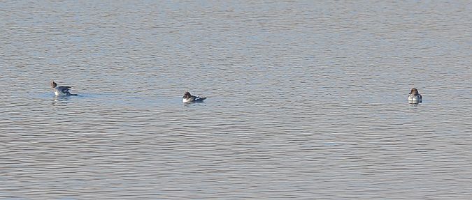 Quattrocchi  - Fabio Moretto