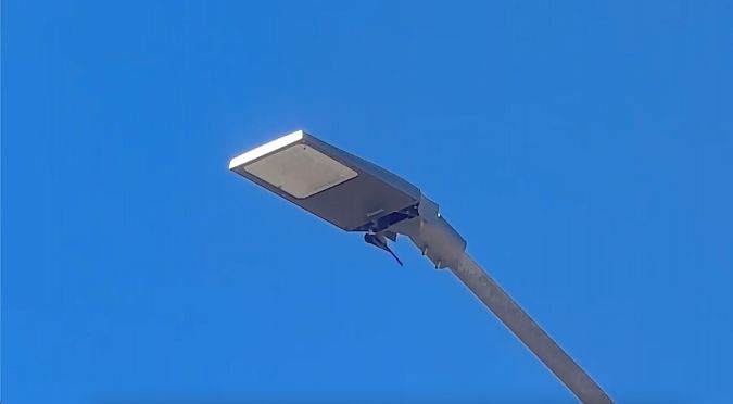 Codibugnolo  - Chiara Asllani