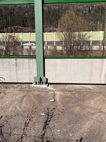 Tordo bottaccio  - Florian Gasser