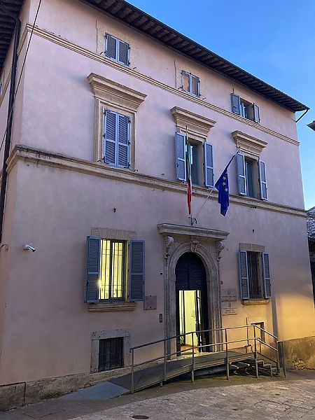 Rondone comune  - Laura Falcinelli