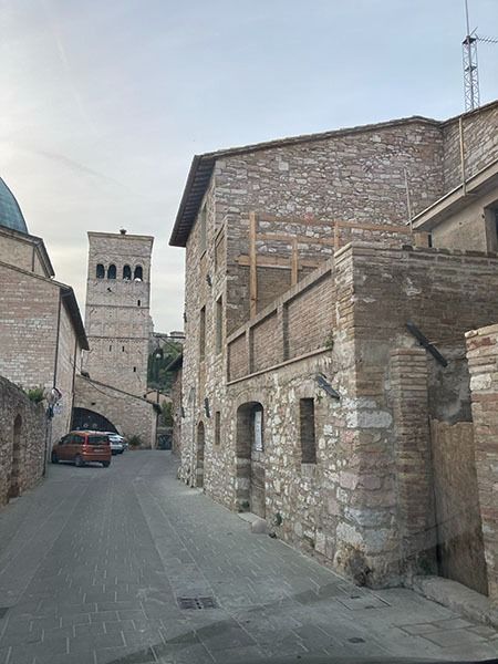 Rondone comune  - Laura Falcinelli