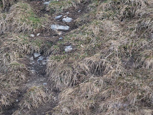 Fanello  - Angelo Pasqua