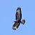 Poiana (Buteo buteo) © Angelo Pasqua