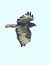 Poiana (Buteo buteo) © Horand Maier