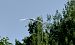 Garzetta (Egretta garzetta) © Angelo Matteucci