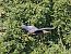 Airone rosso (Ardea purpurea) © Angelo Pasqua