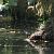 Merlo acquaiolo (Cinclus cinclus) © Gaspare Adinolfi