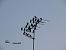 Storno (Sturnus vulgaris) © Giorgio Leoni