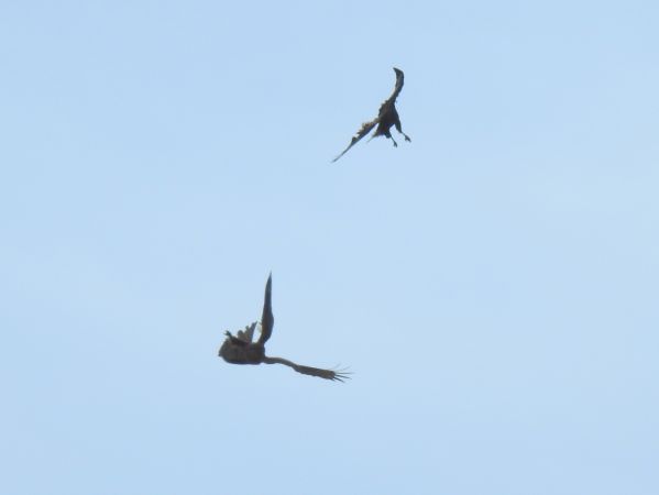 kurhannik  - Jarosław Słowikowski