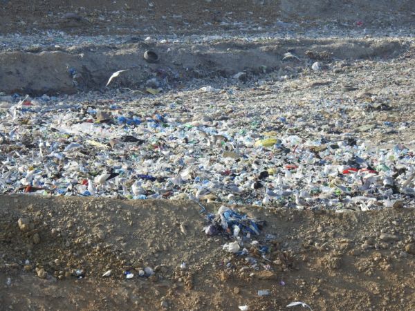 Weissstorch  - Jarosław Słowikowski