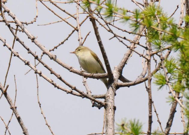 wójcik  - Marcin Dec