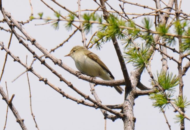 wójcik  - Marcin Dec