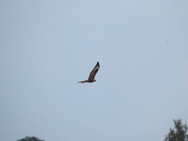 kurhannik  - Jarosław Słowikowski