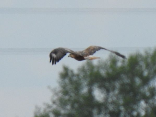 kurhannik  - Jarosław Słowikowski