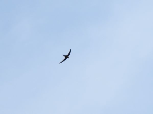 jerzyk  - Jarosław Słowikowski