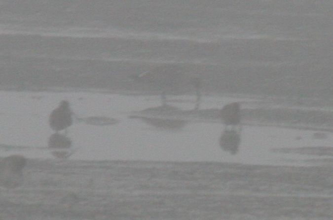 szlamnik  - Krystian Jainta