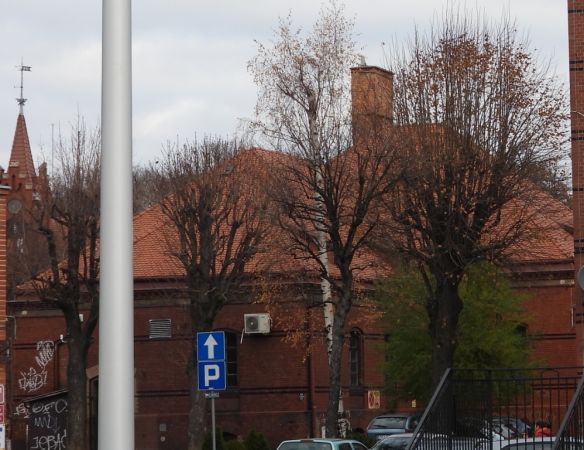 Waldohreule  - Jarosław Słowikowski