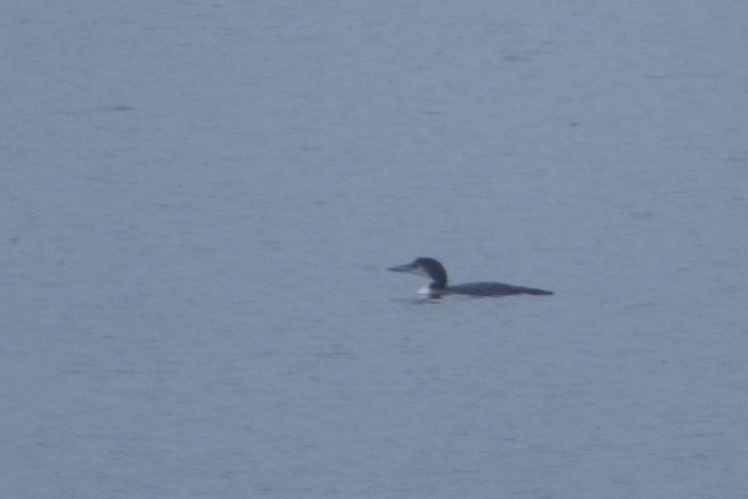 lodowiec  - Mirosław Nowicki