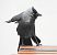 Western Jackdaw  - Jarosław Słowikowski