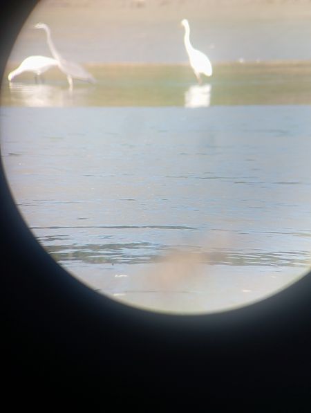 Löffler  - Michał Karpeta