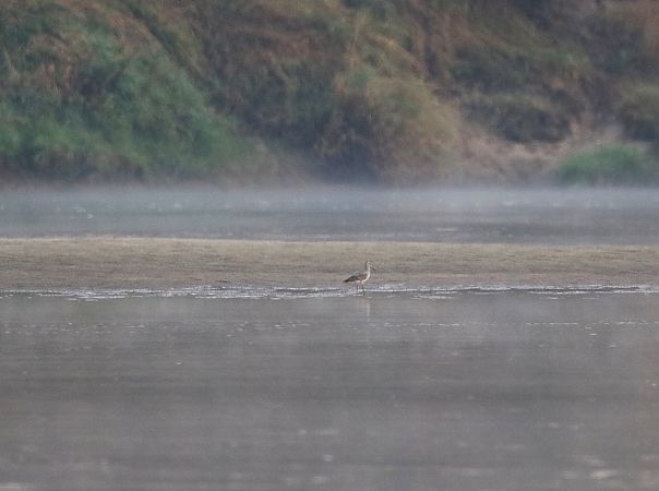 szlamnik  - Marcin Kuźma