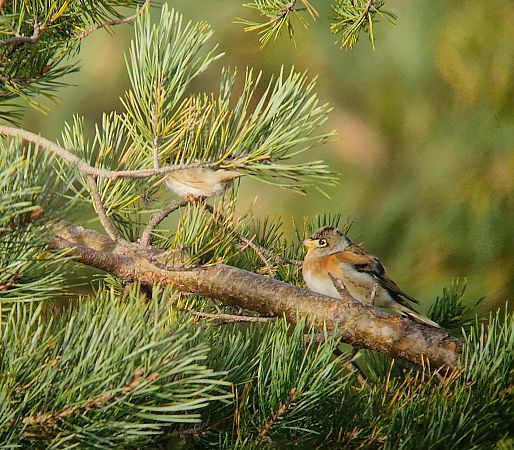 jer  - Tomasz Zarzycki