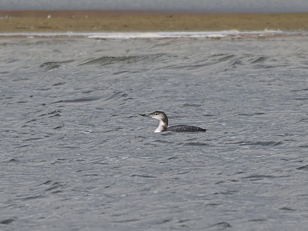 lodowiec  - Waldemar Michalak