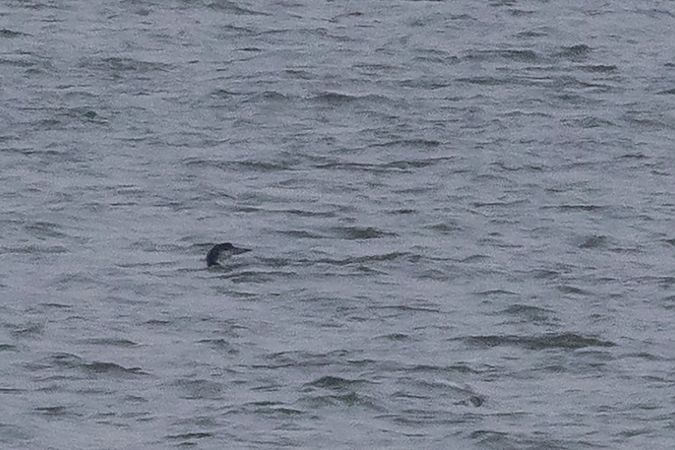 lodowiec  - Marcin Karetta