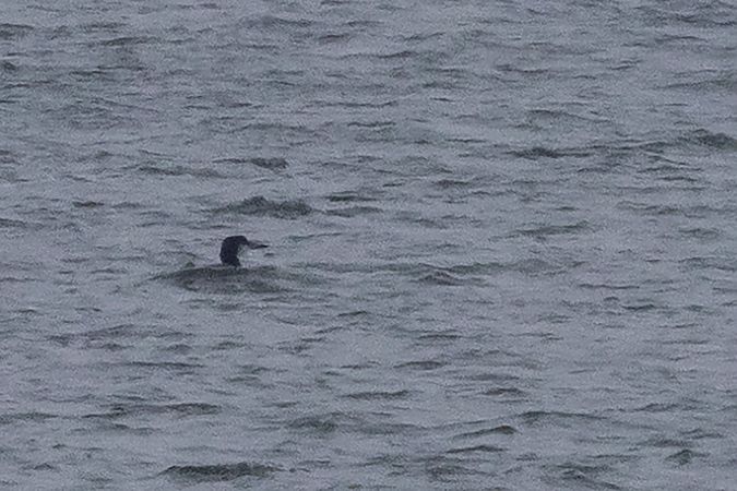 lodowiec  - Marcin Karetta