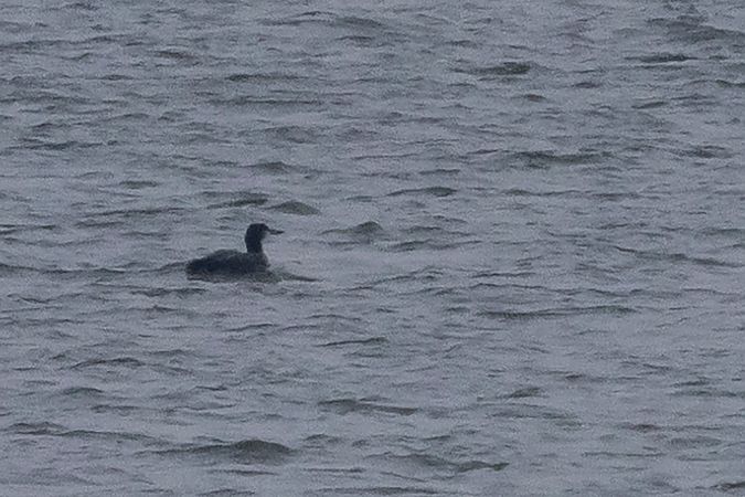 lodowiec  - Marcin Karetta