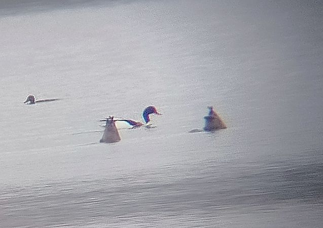 ohar  - Rafał Kurowski