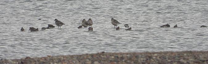 siewnica  - Jarosław Słowikowski