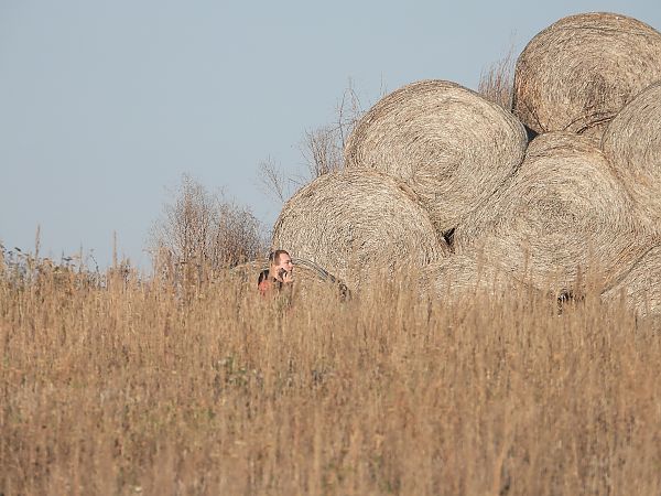 Busard Saint-Martin  - Jarosław Słowikowski