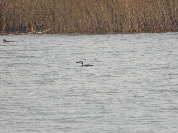 lodowiec  - Paweł Ratajczak