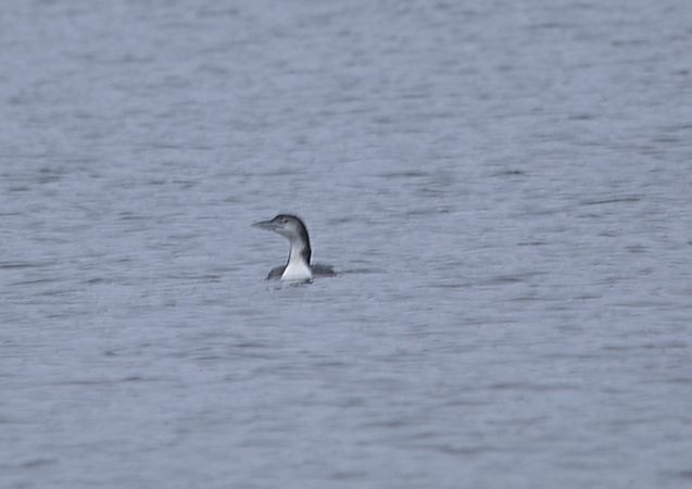 lodowiec  - Przemysław Kopacz