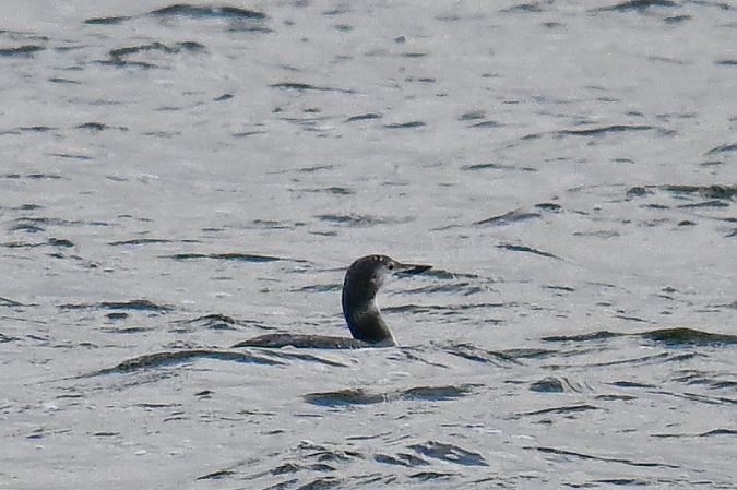 lodowiec  - Artur Andrzejewski