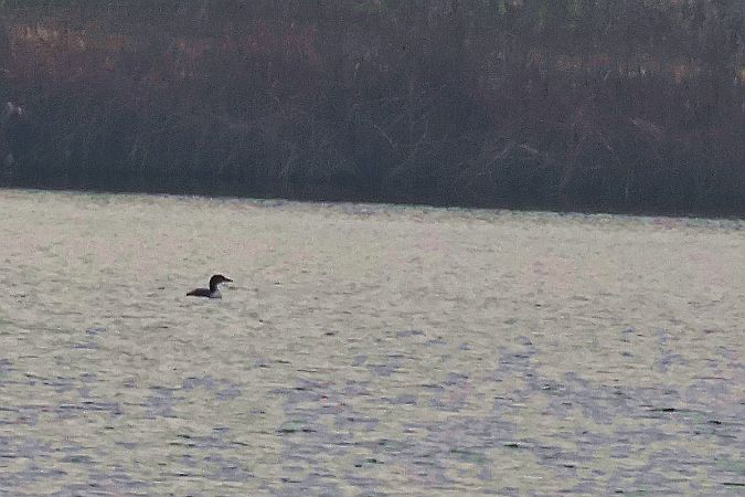 lodowiec  - Krzysztof Czajowski