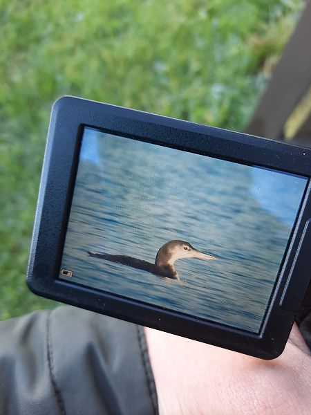 lodowiec  - Gabriel Lodowski