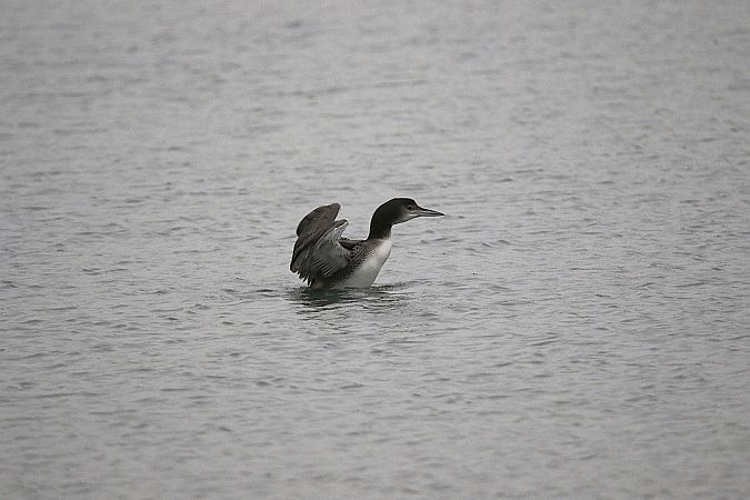 lodowiec  - Marcin Kuźma