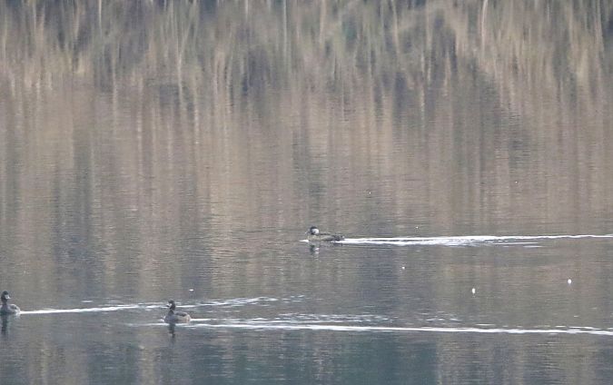 markaczka  - Marcin Kuźma