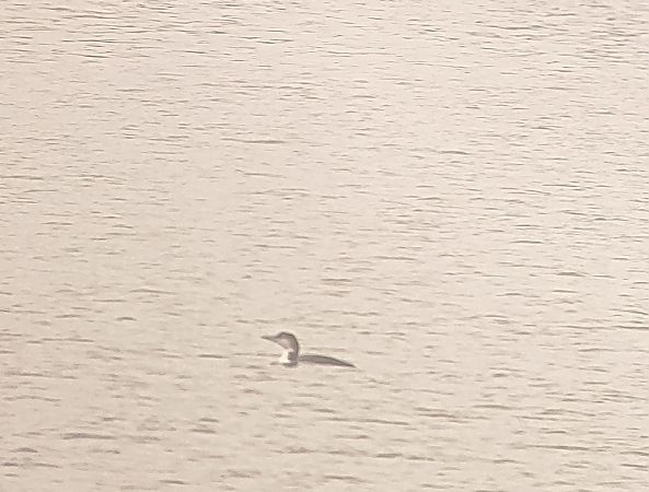 lodowiec  - Michał Janosz