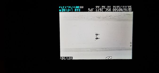 orlica  - Przemysław Jura