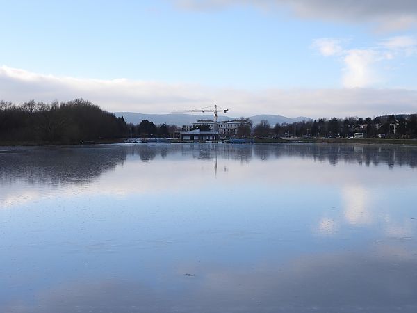 Mute Swan  - Jarosław Słowikowski