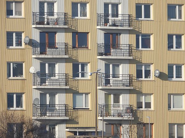 mewa srebrzysta / białogłowa / romańska  - Jarosław Słowikowski