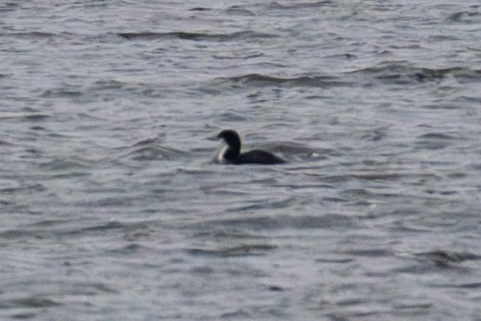 lodowiec  - Mariusz Lizoń